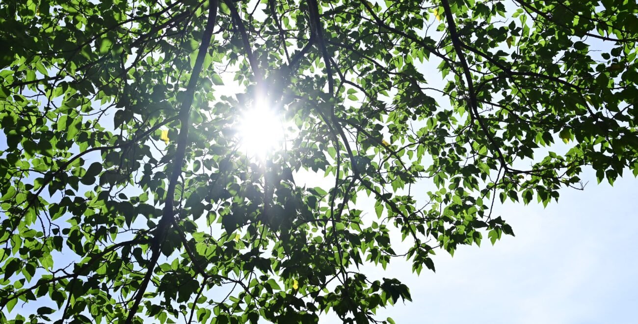 Vitamin D in northern Europe: who actually needs to supplement and how much