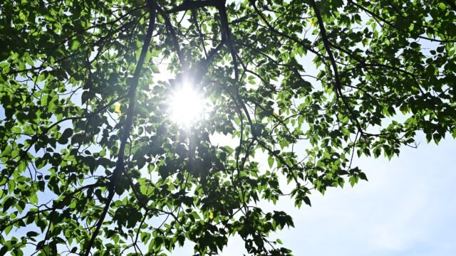 Vitamin D in northern Europe: who actually needs to supplement and how much